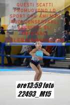 22493_M15-