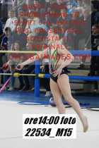22534_M15-