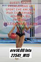 22541_M15-