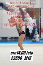 22550_M15-