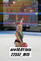 22557_M15-