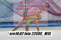 22595_M15-