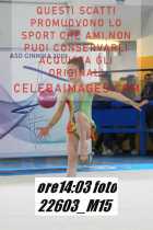 22603_M15-
