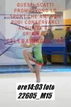 22605_M15-