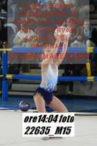 22635_M15-