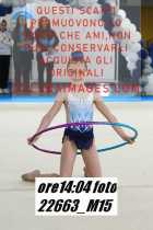 22663_M15-