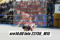 22736_M15-