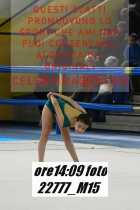 22777_M15-