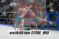22790_M15-