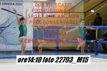 22793_M15-