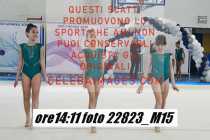 22823_M15-