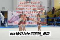 22830_M15-