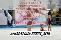 22831_M15-