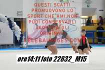 22832_M15-