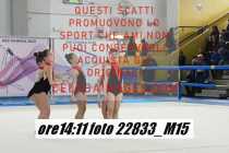 22833_M15-