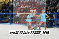 22856_M15-