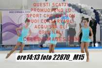 22870_M15-