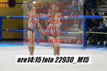 22930_M15-