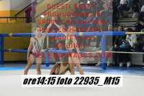 22935_M15-
