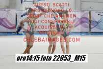 22953_M15-