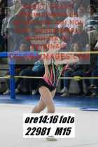 22981_M15-
