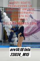 23024_M15-