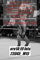 23045_M15-