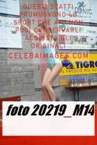 20219_M14-