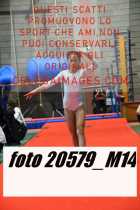20579_M14-