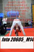 20605_M14-