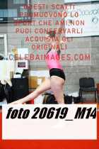 20619_M14-