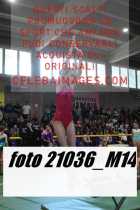 21036_M14-