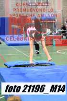 21196_M14-