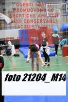 21204_M14-