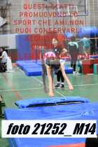 21252_M14-