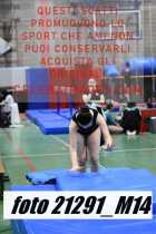 21291_M14-