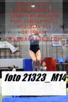21323_M14-