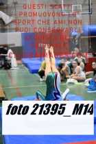 21395_M14-