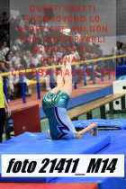 21411_M14-
