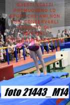 21443_M14-