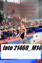 21460_M14-