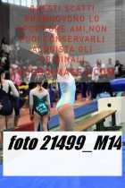 21499_M14-