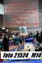 21524_M14-