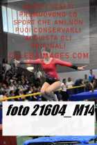 21604_M14-