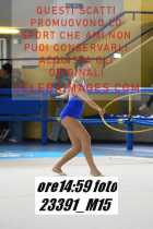 23391_M15-
