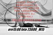 23600_M15-