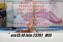23791_M15-