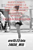 24036_M15-