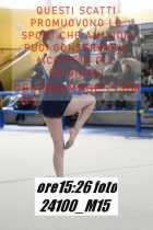 24100_M15-