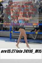 24116_M15-